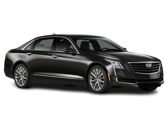 1200x900 removebg preview